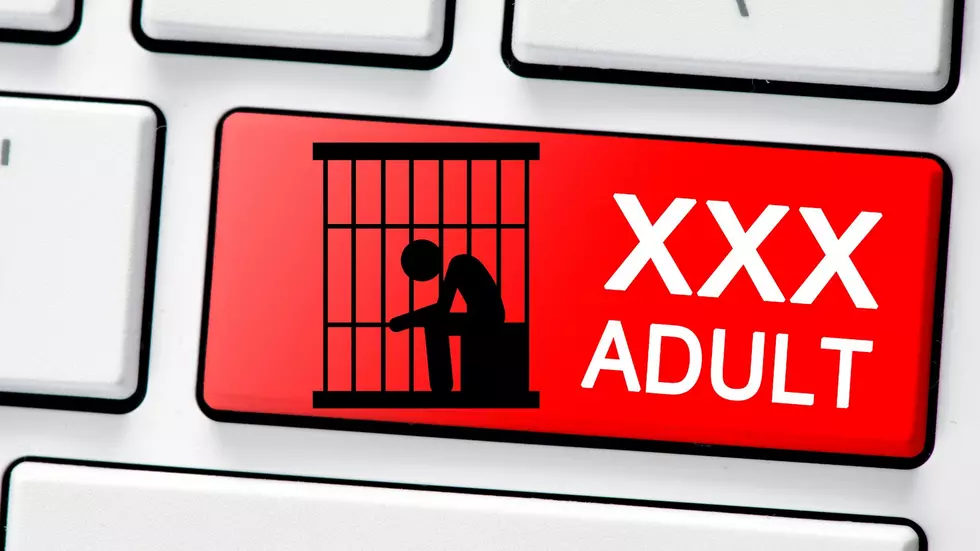 Illinois Rep Sponsors Bill That Could Criminalize Pornography